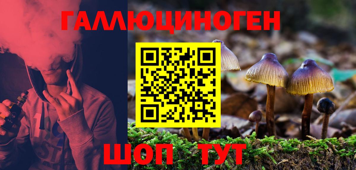 Галлюциногенные грибы прущие грибы Шали