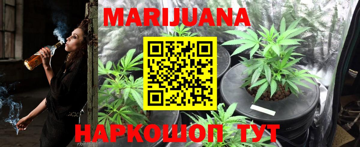 Бошки Шишки ГИДРОПОН Шали